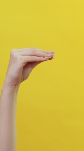 バーティカルビデオ クリーニング機器 ハウスワークプレー 保護手袋の腕 黄色の背景で隔離された青いブラシが付いている話す女性の手を洗うこと — ストック動画