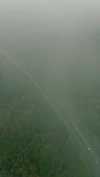 Vertikal Video Drönarlandskap Misty Road Molnig Dag Lång Asfalterad Bana — Stockvideo
