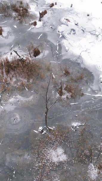 垂直录像 空中冬季湖 雪景冰冻的乡村覆盖着降雪湖寒冷多云的天气 — 图库视频影像