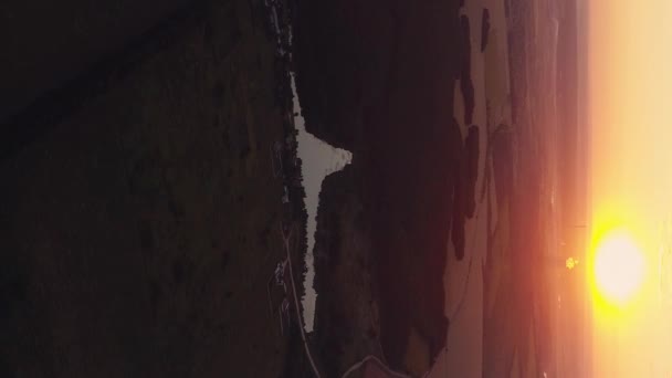 Вертикальное Видео Вид Воздуха Санрайз Зеленое Поле Тумане Солнечного Света — стоковое видео