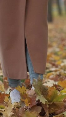Dikey video. Romantik sonbahar. Yürüyen kadın. Doğa güzelliği. Tanımlanamayan bir kadın parka gidip yere sarı ağaç yaprakları fırlatıyor..
