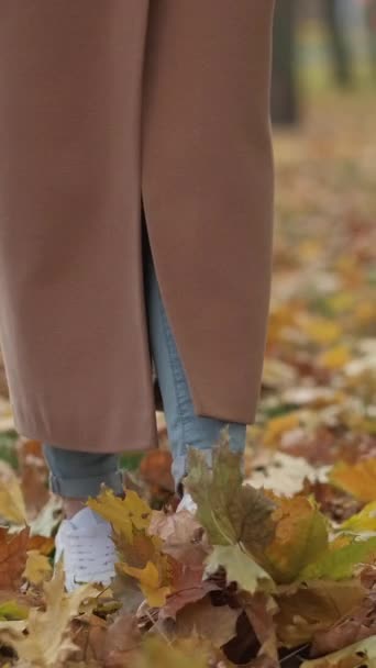 Vertikální Video Romantický Podzim Chodící Žena Krása Přírody Nerozpoznatelná Dáma — Stock video
