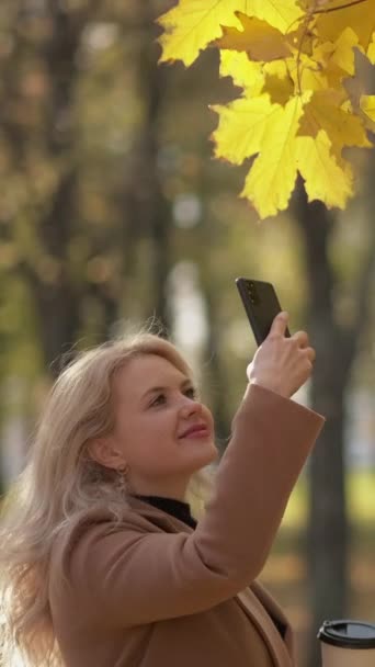 Vertikales Video Herbstschönheit Glückliche Frau Handyfoto Lächelnde Dame Herbstpark Schießt — Stockvideo