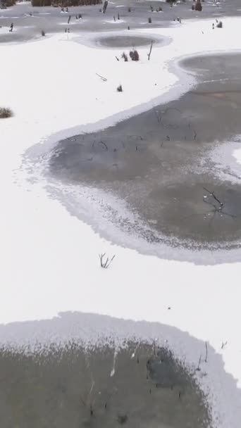 Vídeo Vertical Vista Bosque Drones Lago Invierno Campo Blanco Cubierta — Vídeos de Stock