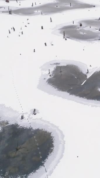 Вертикальное Видео Вид Воздуха Снежный Зимнее Озеро Белые Замерзшие Воды — стоковое видео