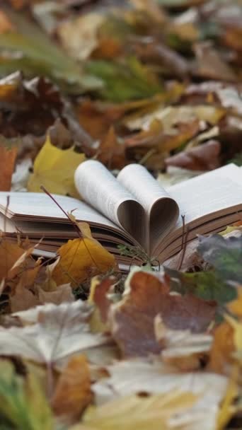Vertikales Video Inspirierte Literatur Romantischer Herbst Kreatives Schießen Aufgeschlagenes Buch — Stockvideo