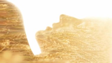 Dikey video. Çevre uyumu. Gezegen canlılığı. Doğa sanat portresi. Beyaz arka planda izole edilmiş kadın profili silueti, altın çavdar dikeni, kırsal alan..