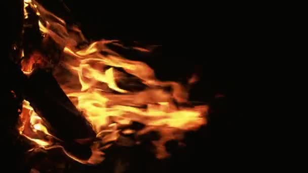 Dikey Video Siyah Üzerine Kamp Ateşi Ateş Alevi Parlayan Kömür — Stok video