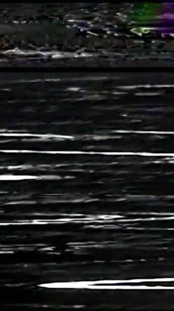 Vertikales Video Vhs Glitch Textur Bildschirmverzerrung Videotape Beschädigt Schwarz Weiß — Stockvideo