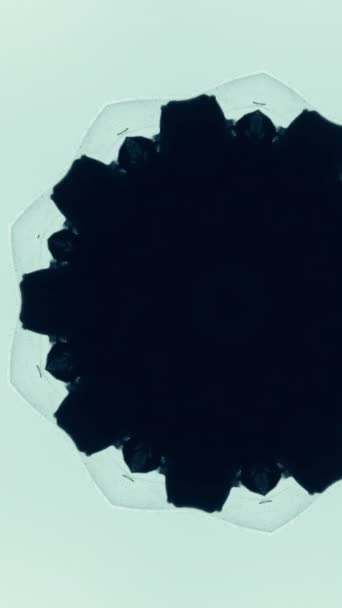 バーティカルビデオ カレイドスコープの装飾 インクウォータードロップ ライトブルーの抽象的な背景に花の対称的なデザインで広がる黒い塗料の流れ — ストック動画
