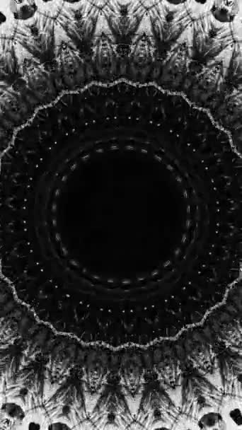 バーティカルビデオ カレイドスコープの背景 エスニック マンダラ インクウォータースプラッシュ 黒い白い円形の対称的な抽象的な装飾フレームは暗いコピー スペースのフリッカーの動きをパルスします — ストック動画