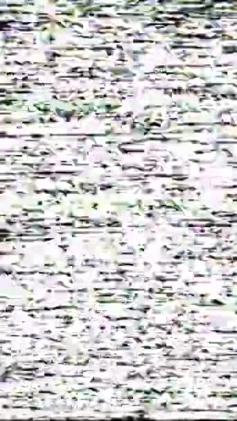 Vertical Video Static Noise Real Glitch Signal Black Pink Flicker — Stock Video