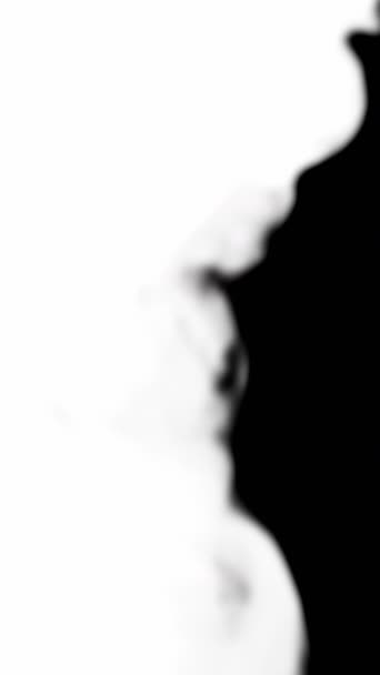 垂直录像 烟的过渡 蒸气云Vapor Cloud 揭露的效果 模糊白烟在黑色空隙抽象背景环上的扩散运动 — 图库视频影像
