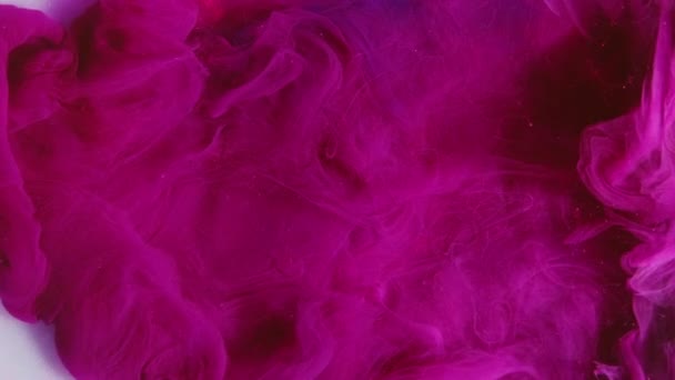 Tintenwasser Spritzt Farbe Rauchwolke Flüssigkeits Explosion Magenta Rosa Glitzerfarbe Glänzende — Stockvideo