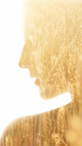 バーティカルビデオ 環境の調和 惑星の活力 自然アートの肖像画 白い背景に隔離された女性のプロフィールの二重露出の黄金のライス スピケル田園 — ストック動画