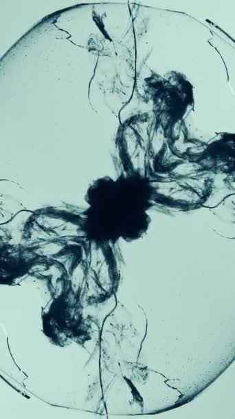Videoclip Vertical Cerneală Împușcată Apă Grafica Fractală Norul Negru Fum — Videoclip de stoc