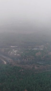 Dikey video. İnsansız hava aracı kırsal görünümü. Sisli vadi. Ağaçların yeşil manzarası ve nehir körfezi sisli bulutlar. Çevrenin doğal güzelliği..