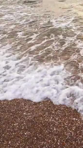 垂直录像 海岸线的背景 浅褐色沙滩上清澈的海水 白色泡沫飞溅冲刷着大海 — 图库视频影像