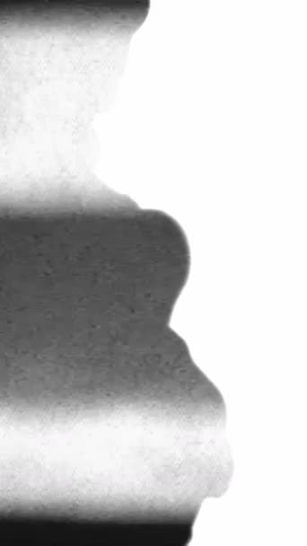 Verticale Video Abstracte Achtergrond Graankunst Analoge Ruis Zwart Wit Flikkerende — Stockvideo