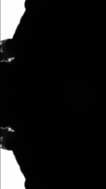 Вертикальное Видео Чернильное Облако Фантастический Всплеск Симметричное Движение Черной Жидкости — стоковое видео
