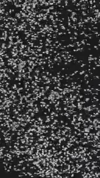 Verticale Video Abstracte Achtergrond Graaneffect Hypnotisch Digitaal Zwart Glitched Vervormde — Stockvideo