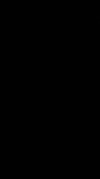 Вертикальне Відео Абстрактний Фон Гіпноз Спіраль Психоделічний Перехід Чорно Білий — стокове відео