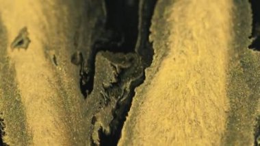 Parıldayan mürekkep. Boya akışı. Odaklanamayan sarı, siyah, gümüş rengi pırıl pırıl, pırıl, pırıl, pırıl, lüks, sıvı, ıslak, soyut sanat arkaplanı karışımı..