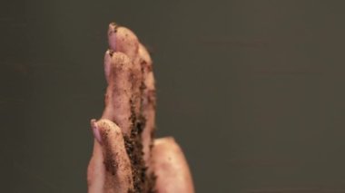 Dikey video. Gübre testi. Toprak kontrolü. Yer analizi. Koyu renk fotokopi alanı arka planında verimli zengin toprağı incelemek için kadın eli dökülüyor.