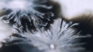 Mürekkep döküldü. Bulanık lekeler. Odaklanmamış siyah beyaz parlak parçacıklar akrilik sıvı karışımı dalga soyut sanat arka planı.