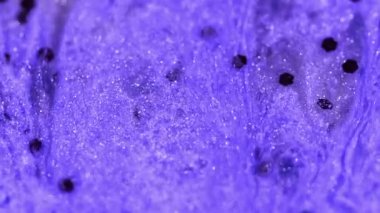 Mürekkep damlası. Parıltılı boya. Lüks sıvı. Odaklanmamış menekşe rengi, köpüren su emülsiyonu. Parlayan koyu pullar. Bokeh soyut sanat arka planı..