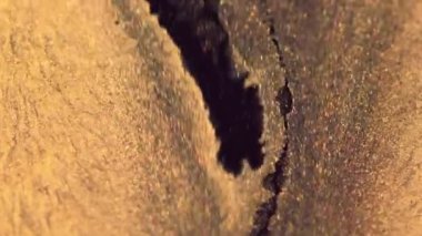 Lüks boya. Mürekkep döküldü. Parlayan sıvı. Odaklanamayan altın rengi damlatan parlak sıvı parıltılı doku soyut sanat arkaplanı.