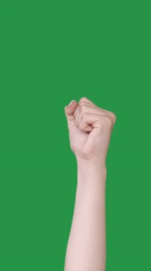 Dikey video. Protesto kolu. Zorlu bir yumruk. Kadın kaldırılmış sıkılmış el uyarısı jesti yeşil krom anahtar boş arkaplan üzerinde izole.