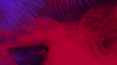 Mürekkep dumanı. Renkli su. Kırmızı mor boya seyrek canlı sis karışımı buharlaşan bulutlar sihirli baloncuk zebra desenli soyut arka plan.