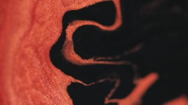 Parlak jöle. Mürekkep arkaplanı. Pırıl pırıl. Turuncu parıldayan kaplan rengi. Siyah sıvı boya dalgası. Soyut bulanık sanat..