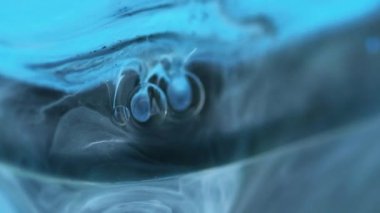 Dumanlı boya. Yağ mürekkebi. Odaklanmamış gri renk dökülmüş metalik parlak sıvı mistik buhar yüzen su damlaları jel emülsiyonu soyut sanat arka planı.