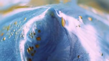 Vernik döküldü. Boya kristali. Bulanık mavi, altın sarısı, pırıl pırıl parçacıklar akrilik mürekkep sızıntısı soyut sanat arkaplanı..