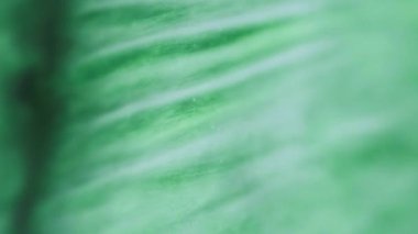 Köpüklü duman bulutu. Işıldayan parıltı akıyor. Renkli yeşil dalga boya karışımı hareket büyüleyici soyut sanat arkaplanı.