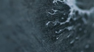 Mistik mürekkep. Odaklanmış sıvı. Sıvı boya sanatı. Siyah mor beyaz renk karışım parçacıkları doku emülsiyon akrilik dalga arka planı.