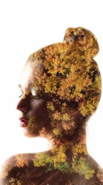 Dikey video. Ekoloji portresi. Doğa uyumu. Kadın siluetlerindeki yaz sonbahar ormanı beyaz arka planda iki kez izole edilmiş..