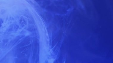 Duman akışı. Mürekkep suyu karışımı. Odaklanmamış mavi renk parlayan duman dokusu yüzen buhar hareket eden soyut sanat arkaplanı.