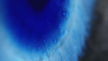 Dikey video. Boya lekesi. Mürekkep damlası. Odaklanmamış mavi renk ıslak leke ışıl ışıl parçacıklar sıvı dökülmesi hareketli soyut sanat arkaplanı ortaya çıkardı.
