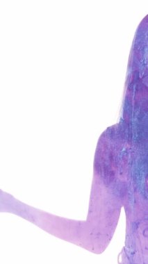 Dikey video. Ruhun iyileşmesi. Zihin sükuneti. Meditasyon yapan kadın siluetinde mor mürekkep akışı beyaz arka planda izole edilmiş çift pozlama.