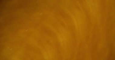 Bulanık boya suyu. Kabarcık dokusu. Sarı altın sarısı turuncu parlak sıvı şeffaf damlacık yağı soyut arkaplanda sıçrıyor.