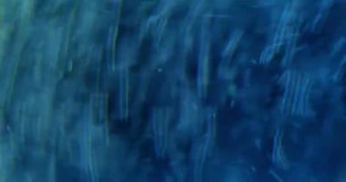 Bokeh akış parçacıkları. Hızlı karıştırma. Hızlandırılmış dönüş efekti. Hareket halkası su rengi değişimi. Baloncuk sıvısı. Aktif difüzyon. Atmosferi değiştir.