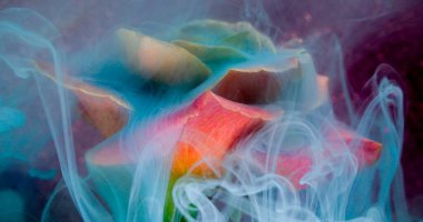 Dalga sisi. Gül çiçeği. Yumuşak mavi kıvrımlı yeşil mürekkep şeffaf sıvıda çözülüyor. Sanat sıvısı doğayı bulanıklaştırır soyut pembe arkaplan dokusu.