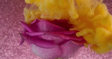 Fantezi dumanı. Sis mürekkebi. Turuncu sarı boya su altında, pembe taç yapraklı gül üzerine sıçrıyor. Sanat çiçeği sisi parıldıyor. Odaklanmış soyut arkaplan..