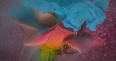 Dalga sisi. Gül çiçeği. Yumuşak mavi mürekkep şeffaf sıvıda çözülüyor. Sanat sıvısı doğayı bulanıklaştırır soyut arkaplan parıldayan doku.