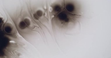 Boya damlası. Kara damla. Koyu su lekesi boyasıyla karıştırılmış sanat sıvısı dalgası. Beyaz yüzey grunge kirliliği dağınık yayılan soyut arka plan.