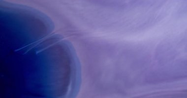 Boyayı yayıyorum. Pigment sıvısı. Pürüzsüz mavi suluboya ıslak menekşe yüzeyine dökülmüş. Işıldayan sanat dalgası çözünmüş soyut arkaplanı örtüyor.