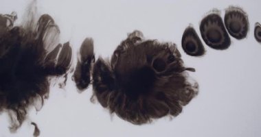 Suluboya damlası. Sanatsal sıvı. Aydınlık ve beyaz yüzeyde siyah mürekkep sıçraması. Koyu boyalı su soyut arkaplanı yayılıyor.